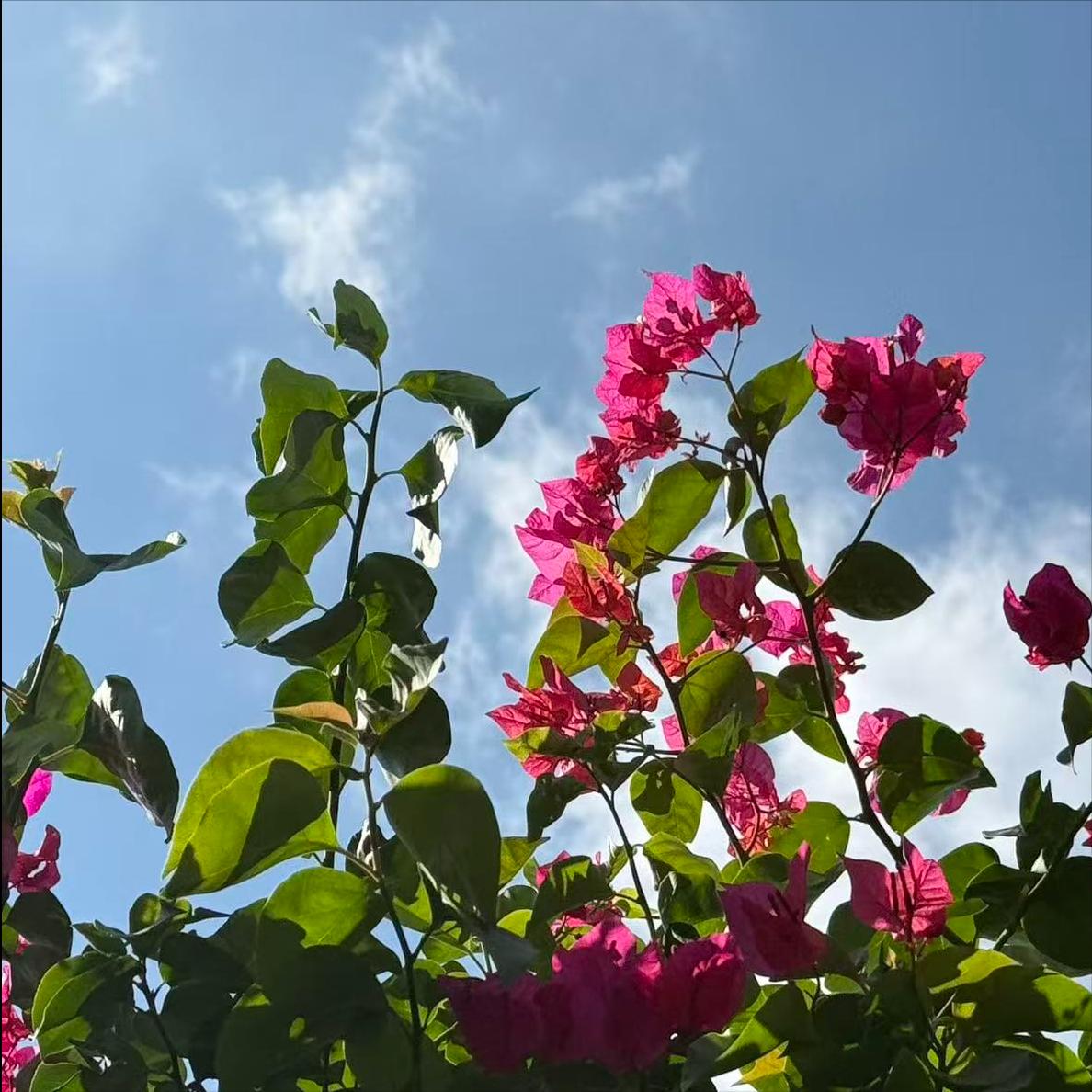 维吾尔族科学家阿吉艾克拜尔·艾萨当选工程院院士 为该民族第2位院士 今天公