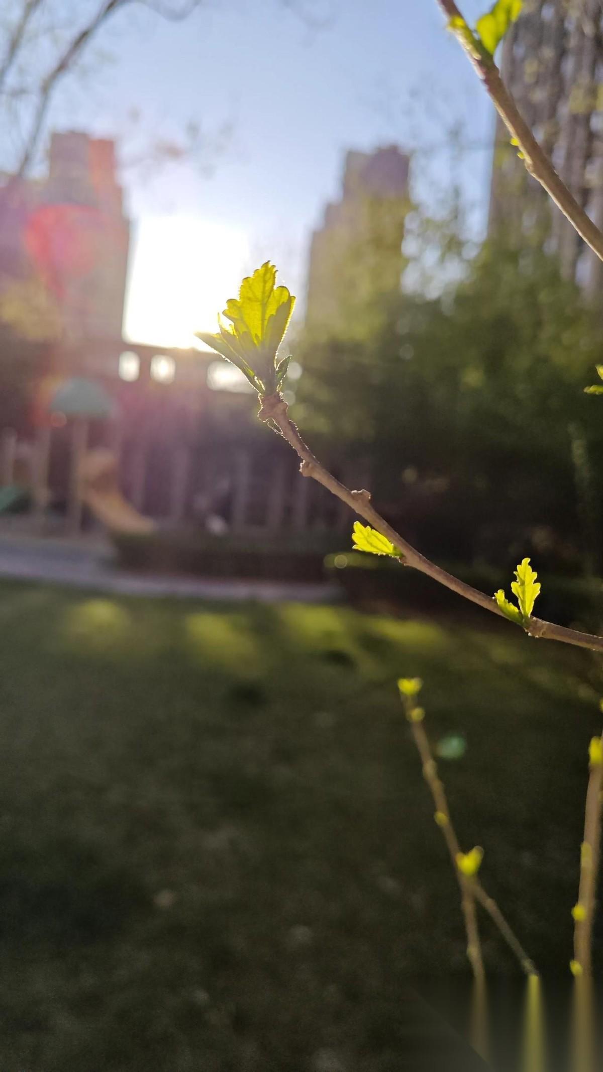 那天去拜访一位90岁的老中医，他精神矍铄，耳聪目明，还在给人把脉。我问他长寿的秘
