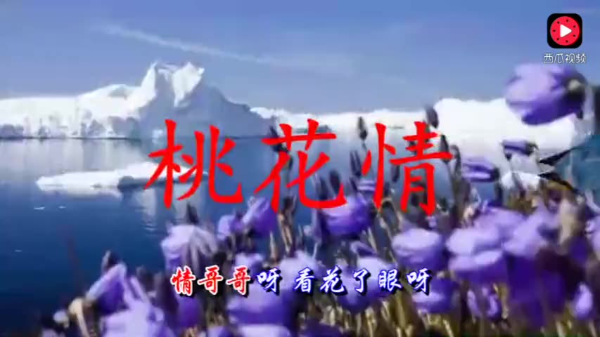 悠悠桃花情简谱_桃花简笔画