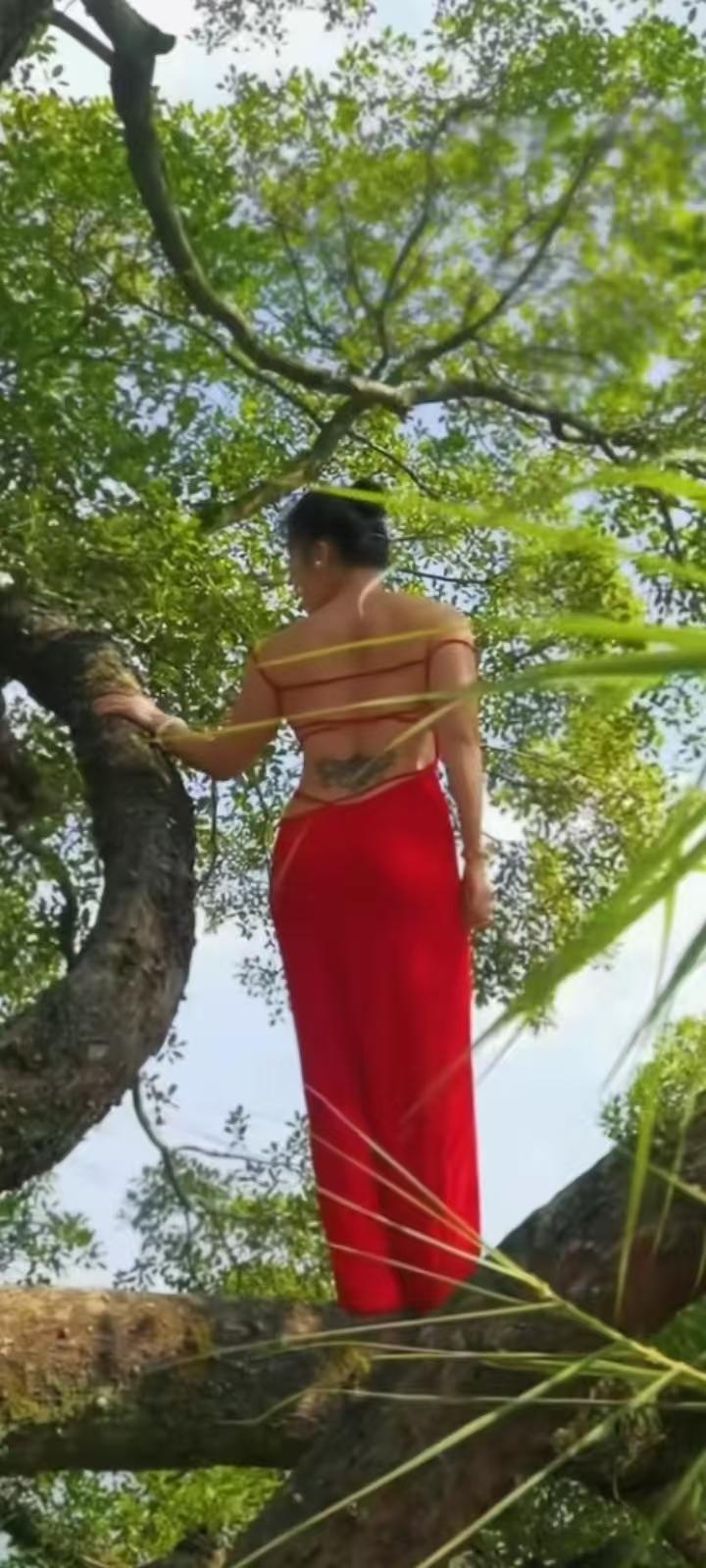 试对；梅吐新蕊催人老柳生闲烟逼岁除******网图侵删