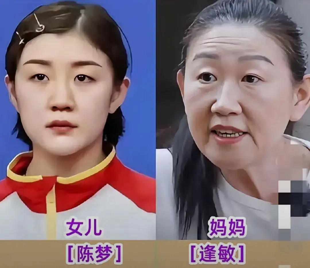 王楚钦与他的母亲长得极其相似。陈梦与她的母亲长得极其相似。马龙与他的母亲长得