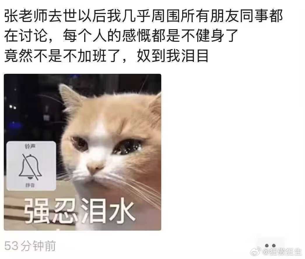 都不健身了……