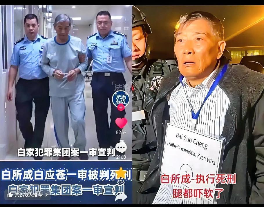 白家犯罪集团终获死刑！当初有多嚣张，现在就有多狼狈，这结局大快人心！历时1