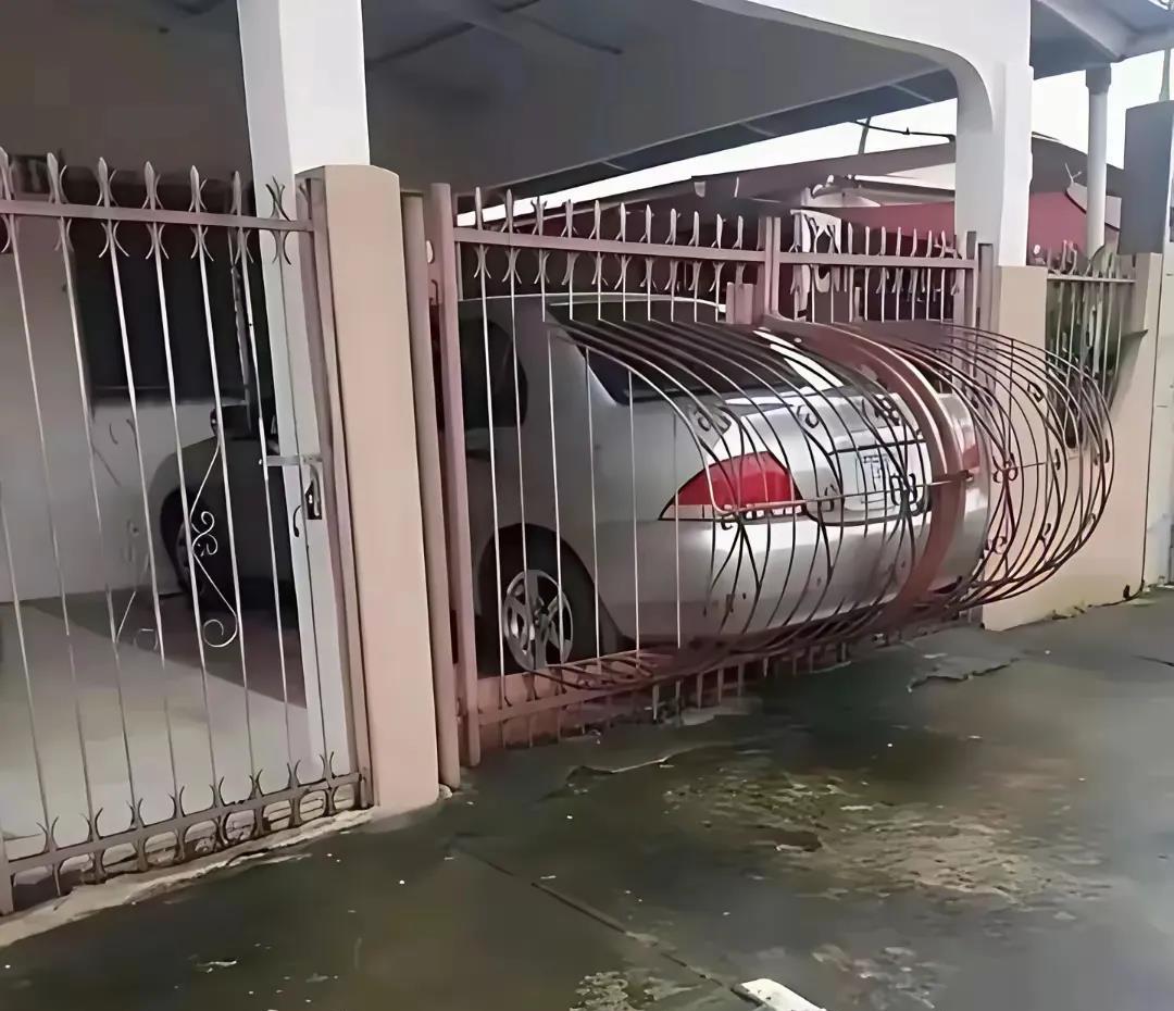 车主也是个人才！