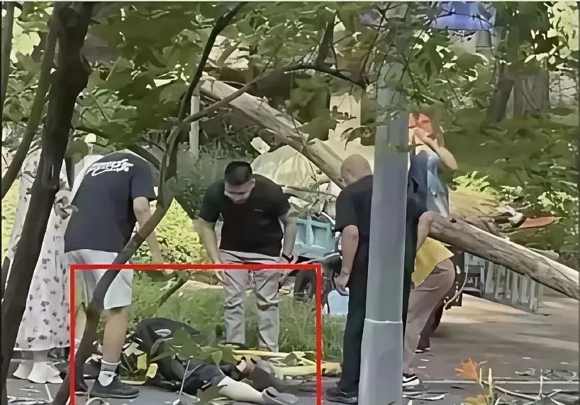 人的命，天注定，哪怕半道上张爱玲教授接个电话，或遇到熟人说上几句话，也许就能错过