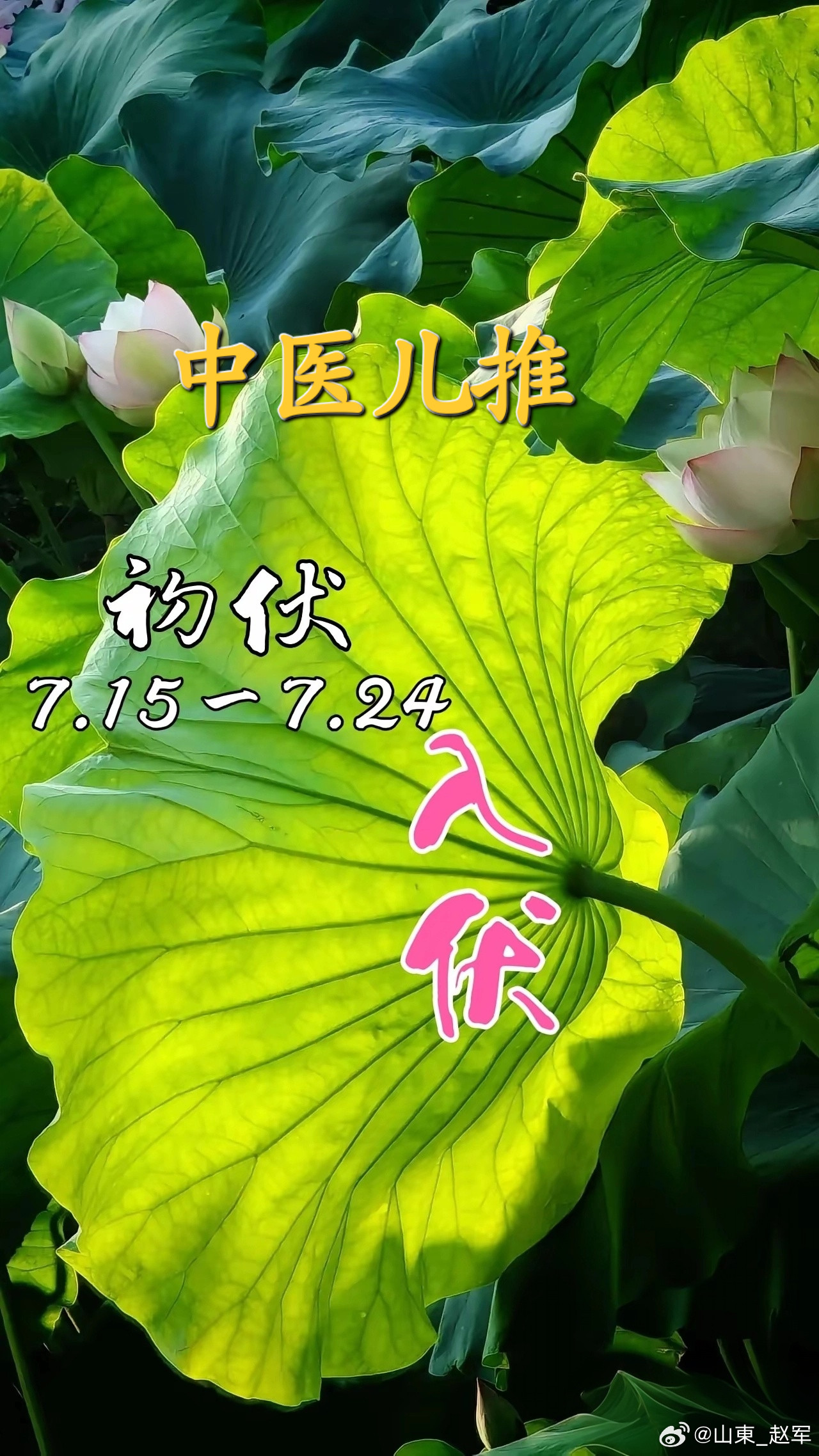 入伏小儿推拿（贴合一气周流、冬病夏治、化浊排寒）伏天阳气满寰中，毛孔全开散浊踪。