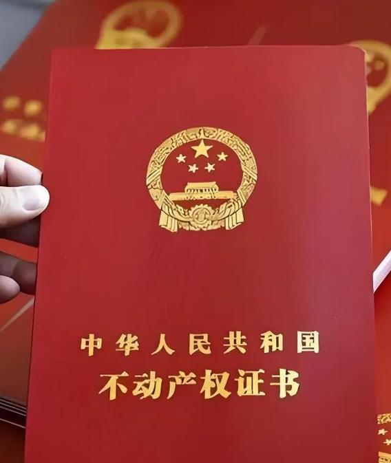 有没有想过，其实房产也是均贫富的一种手段。2010年，我收入不高，所以在当地小