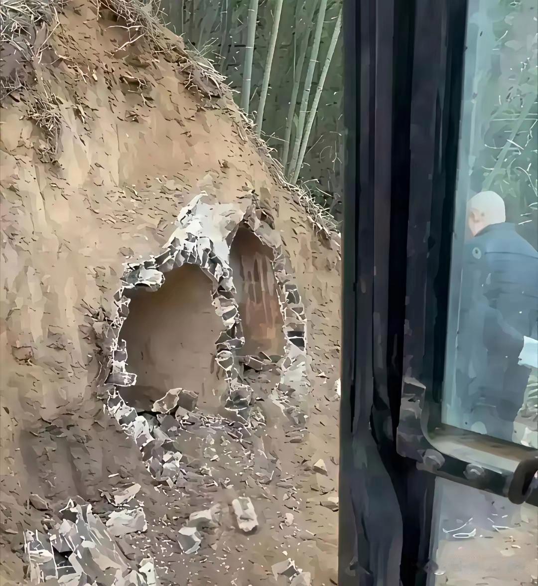 现在跑还来得及吗？
