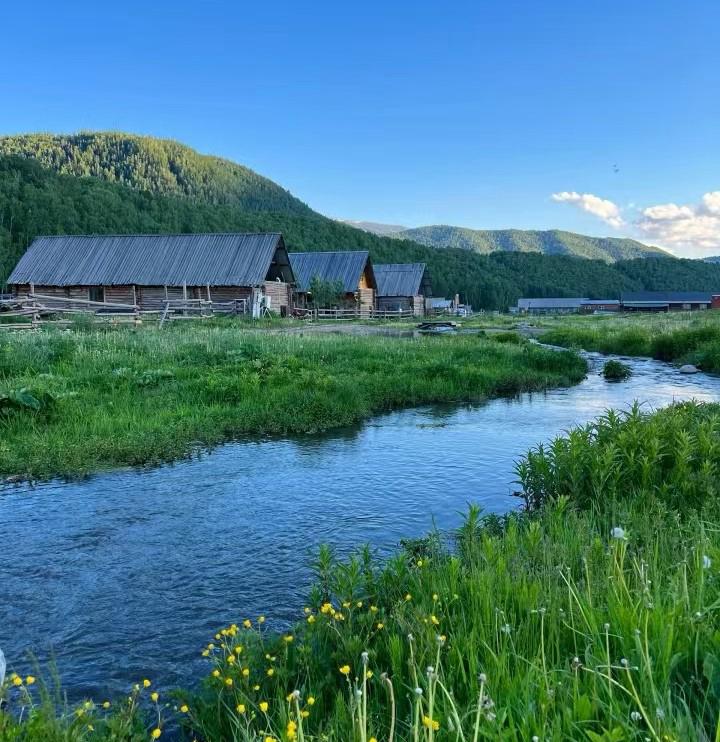 32岁体检单上三个箭头，我当场退出了所有酒局群。孩子发烧那晚，我发现自己对母