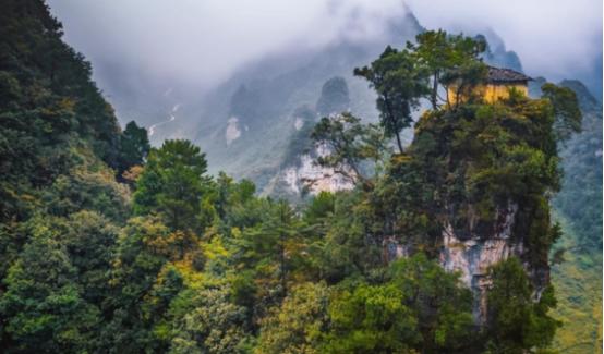 为什么禁止进入神农架深处？一位60多岁的巡山员告诉我：别看神农架拥有大量高等植物