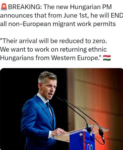 谁能想到匈牙利新总理刚上台就把事情给做绝了，他直接表示匈牙利不会接收任何的难民，