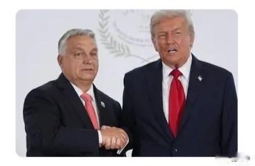 【独家！欧尔班白宫求油遭拒，特朗普一句话道破玄机！】“匈牙利很特殊！”11月