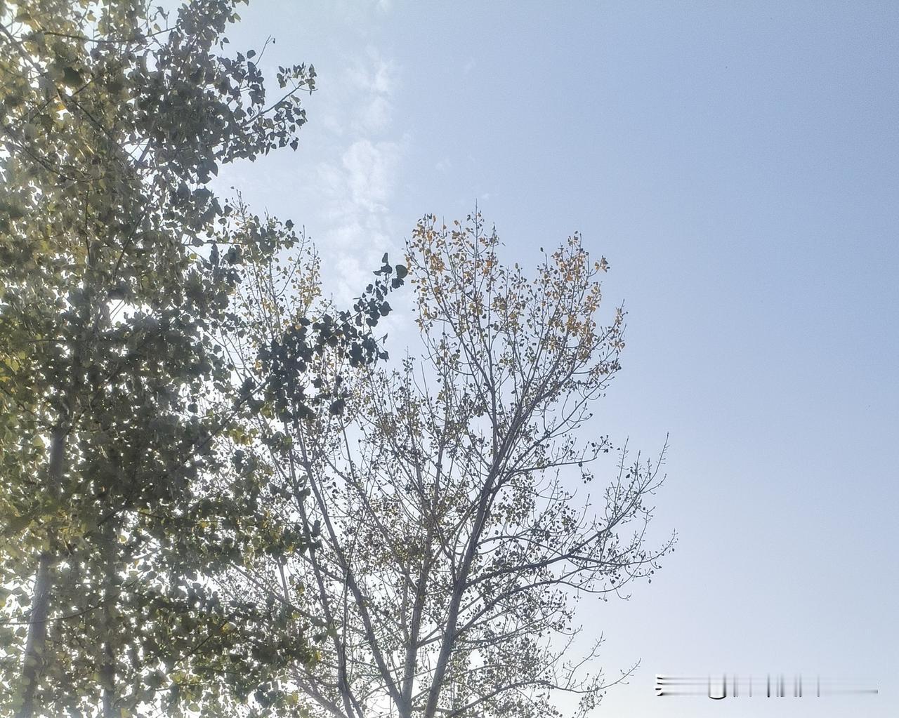 上海重磅福利！13岁女孩免费接种HPV疫苗，为花季护航，为家庭减负上海发布