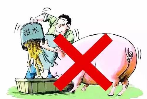 不是泔水不能喂猪，只是泔水早已今非昔比很多人疑惑，以前农村家家都用泔水