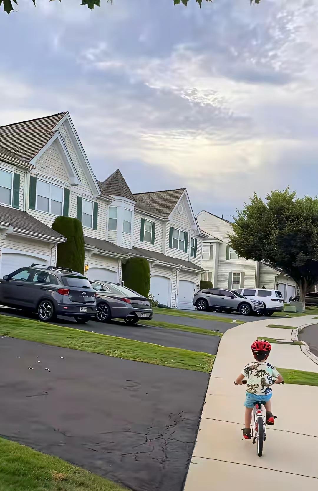 被骗了，以为的美国爱修剪草坪是情调。都是木头做的房子啊，树木要剪草坪要剪，不然的