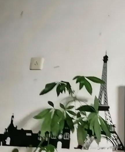 记得刚得癌症的时候，有一个网友在我的文章下边留言说:什么时候忘了自己是一个癌症病