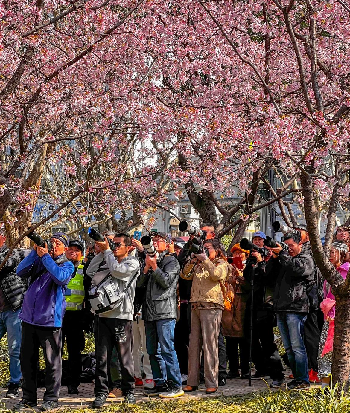 建议年轻人少去公园容易伤自尊不开玩笑，别说身体素质了，除了电子竞技游戏，玩这方面
