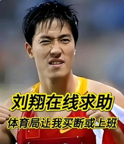 刘翔2015年退役，每月工资1.2万，每年25万左右，而他个人代言的年收入在千万