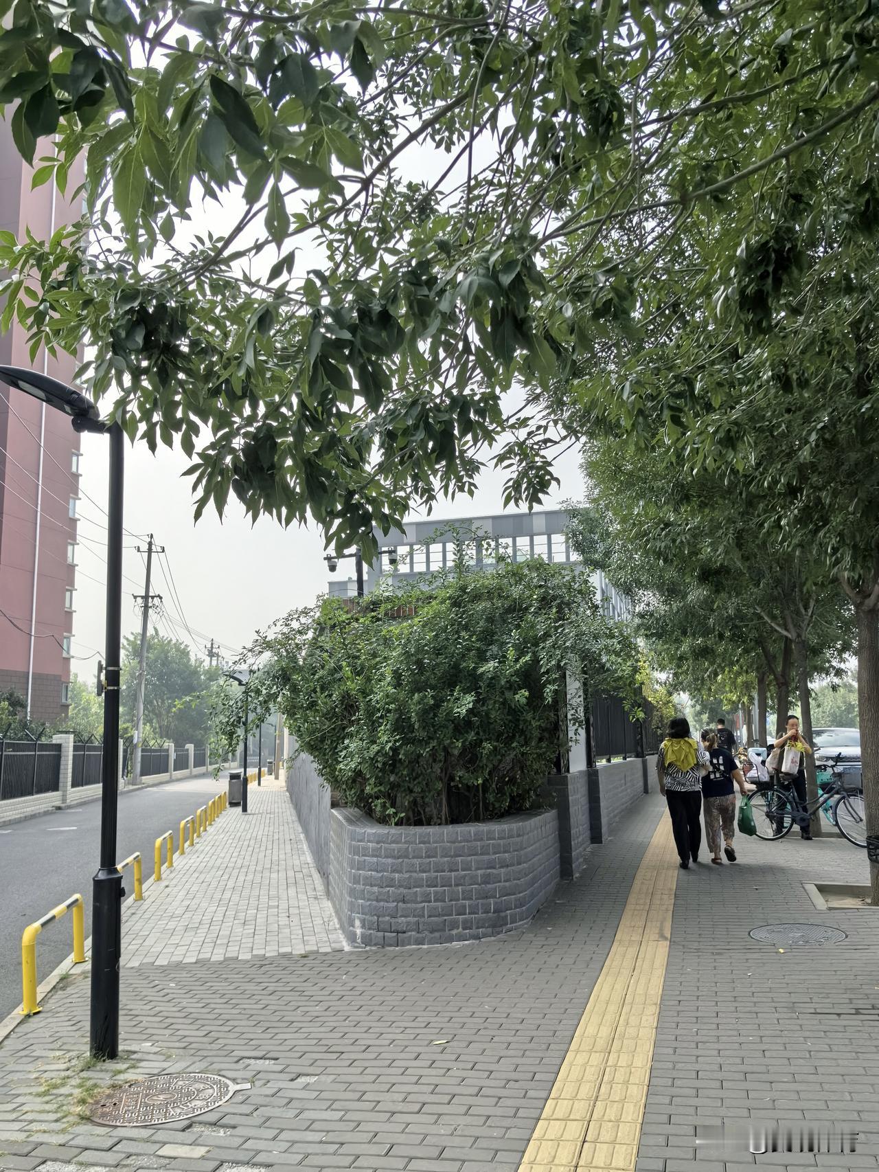 不算南辕北辙，也属分道扬镳。