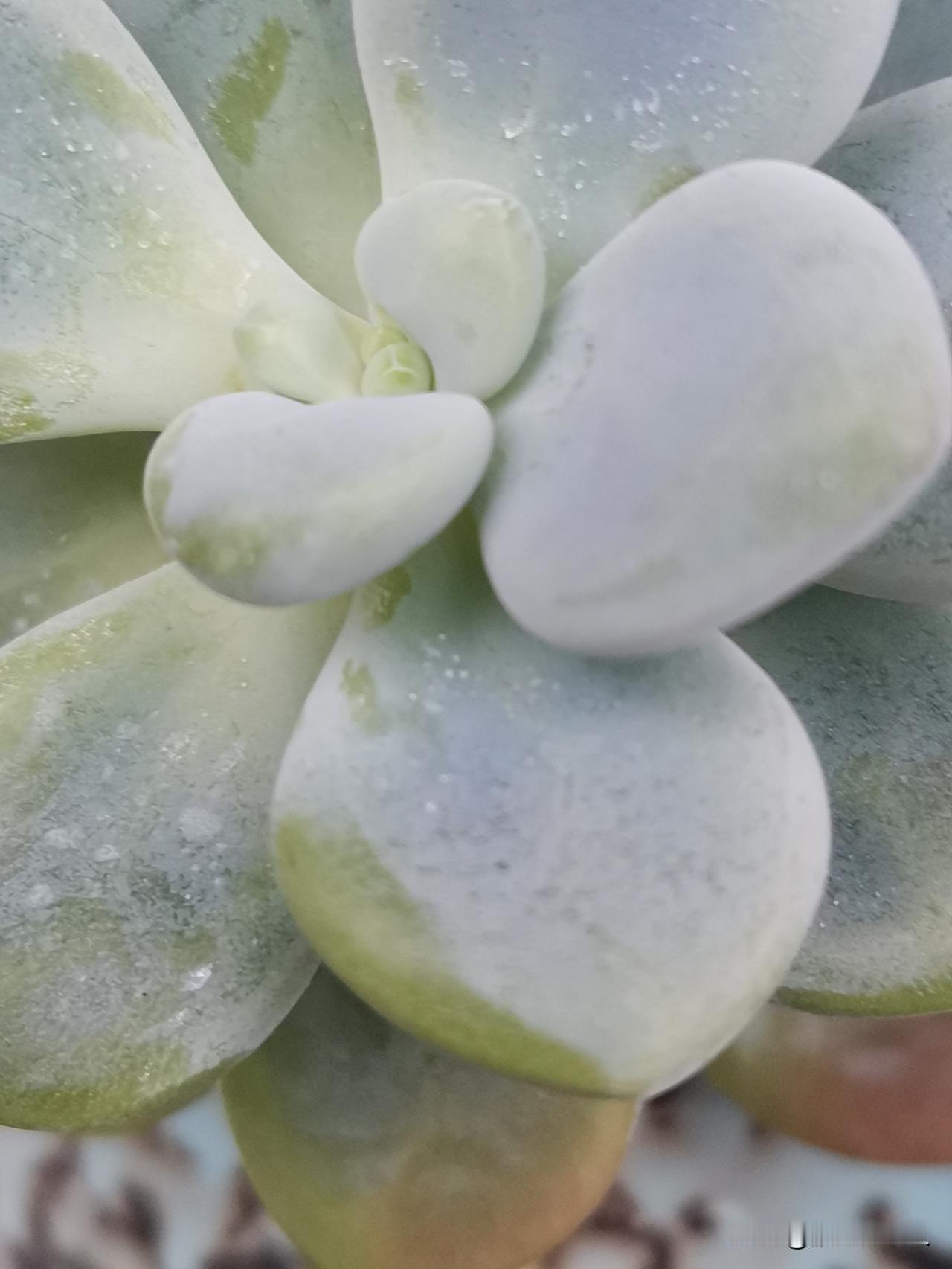 断供EDA和部分化学品全面中断了！切记：是全面！所有的企业！这是对半导