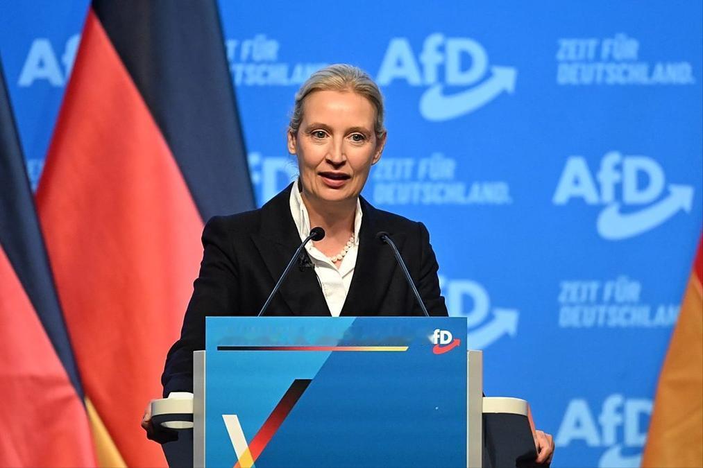 近日，德国右翼政党“选择党”（AfD）党魁爱丽丝·魏德尔在受访时抛出一颗震撼弹：