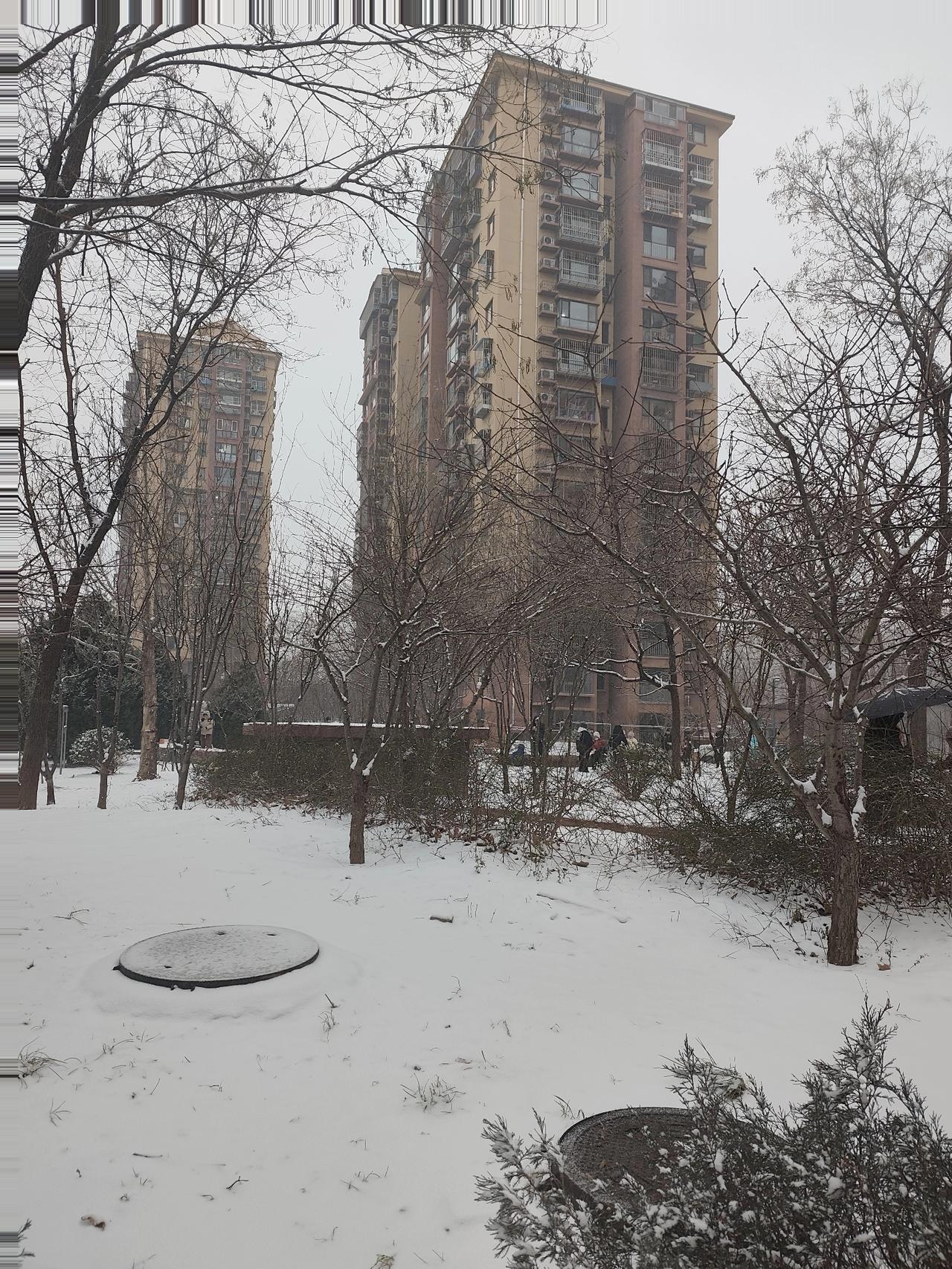 北京大雪刷屏！瑞雪兆丰年，平安更值钱美翻了！北京这场大雪如约而至，银装素裹