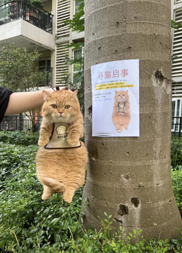 已老实，求放过。