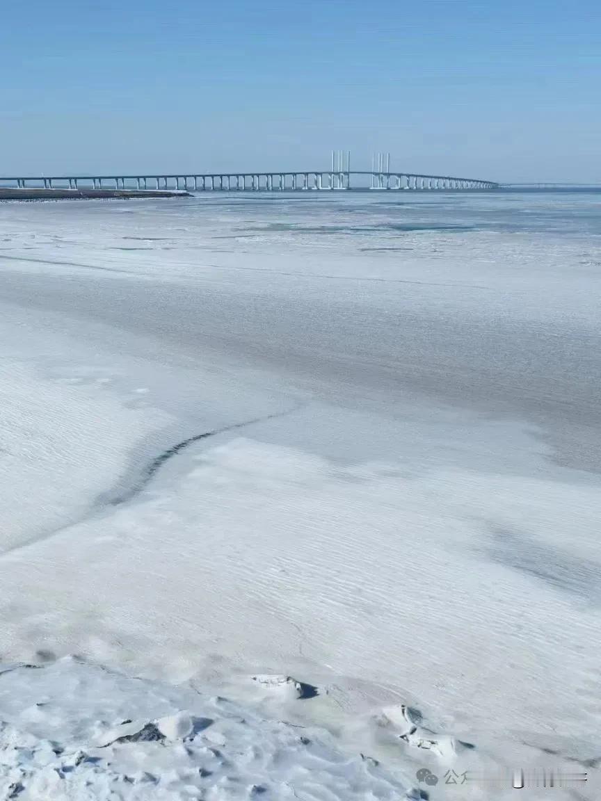 这几天青岛太冷了，胶州湾的海水都结成冰了，引的市民都来打卡拍照，因为这样的景观并