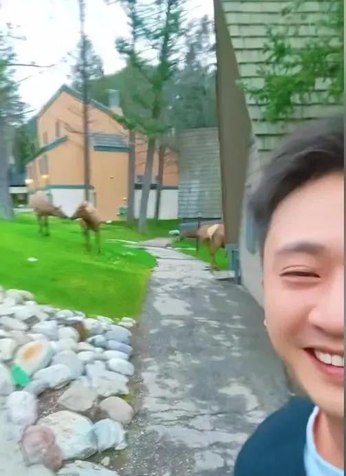 最近央视主持人杨帆领着妻女去国外旅游，被人喷的体无完肤。就是因为人家说景色美了