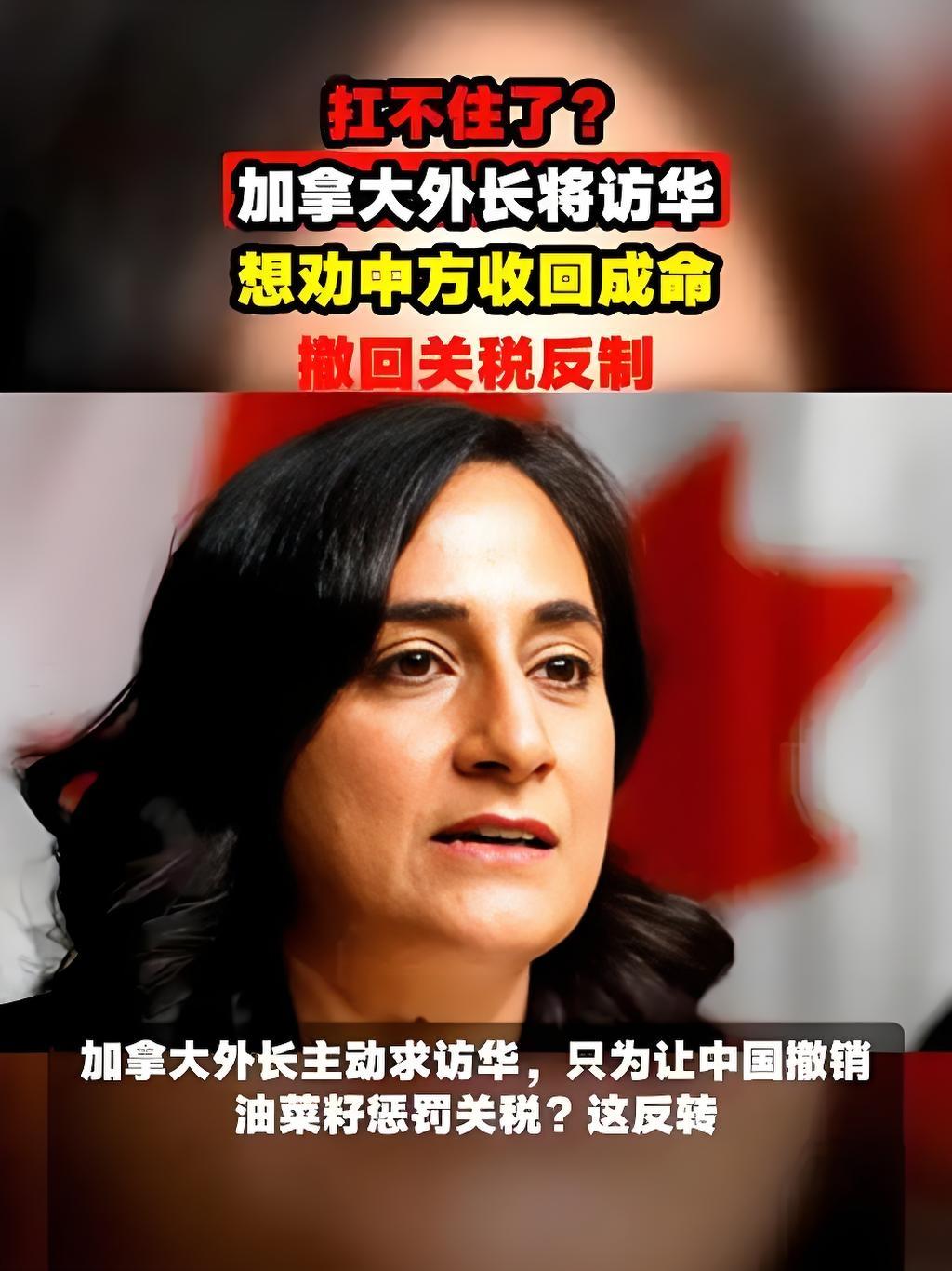 扛不住了？加拿大外长将访华，想劝中方收回成命，撤回关税反制2025年9月23日