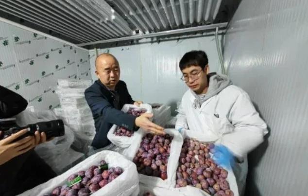 新疆伊犁哈萨克，男子开着冷藏车，运了3000箱西梅到达目的地后，他要货主先付了运