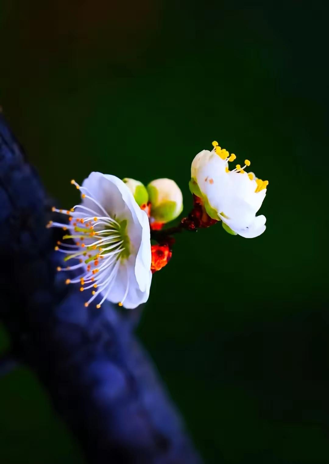 网上看到一个70多岁大爷的养老方式：不去养老院，也不跟儿女住，雇邻居帮自己养老。
