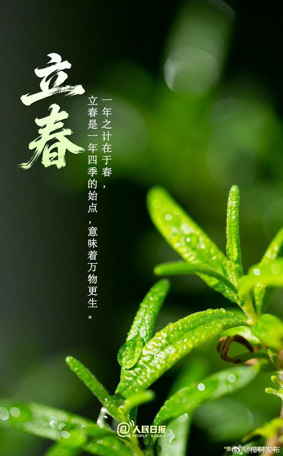 【今日，立春】①2月4日4时2分，太阳达到黄经315度，立春至。②立春是24节