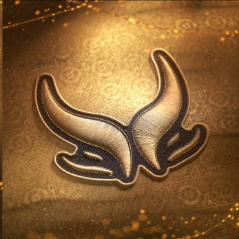 Dota2国际邀请赛即将正式打响！XG、Resilience、VG将代表中国赛区