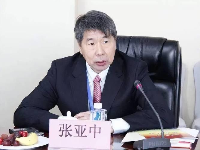 张亚中教授在香山论坛接受媒体采访时表示：“我不是来这边天天附和他们的。我代表台湾