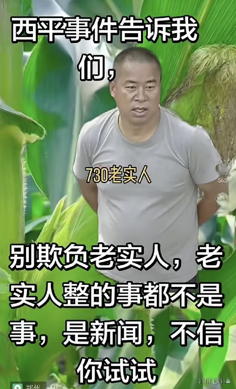 这句话太有份量了！西平事件告诉我们，别欺负老实人，老实人整的事都不是事，是新闻