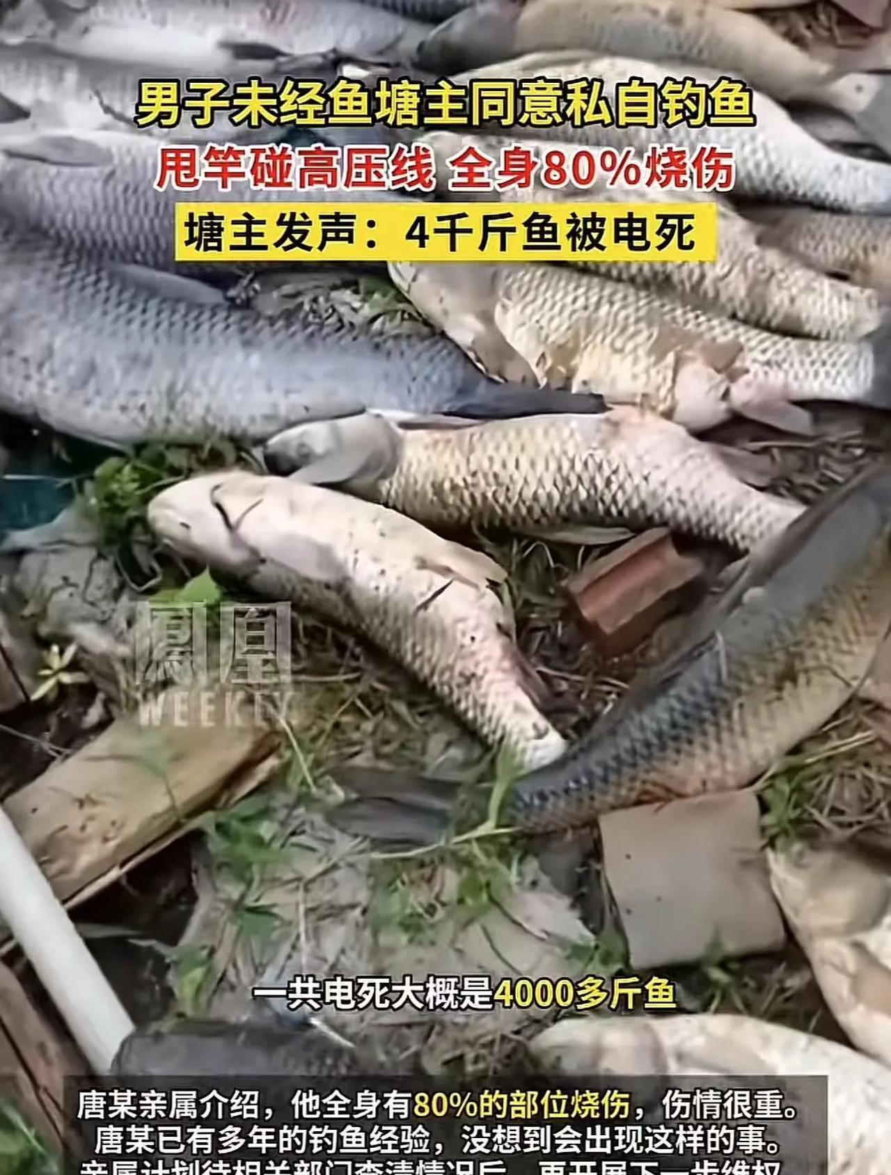 “这个鱼塘主太冤了！”广西桂林，28岁男子未经鱼塘主同意偷偷去鱼塘钓鱼，结果甩竿