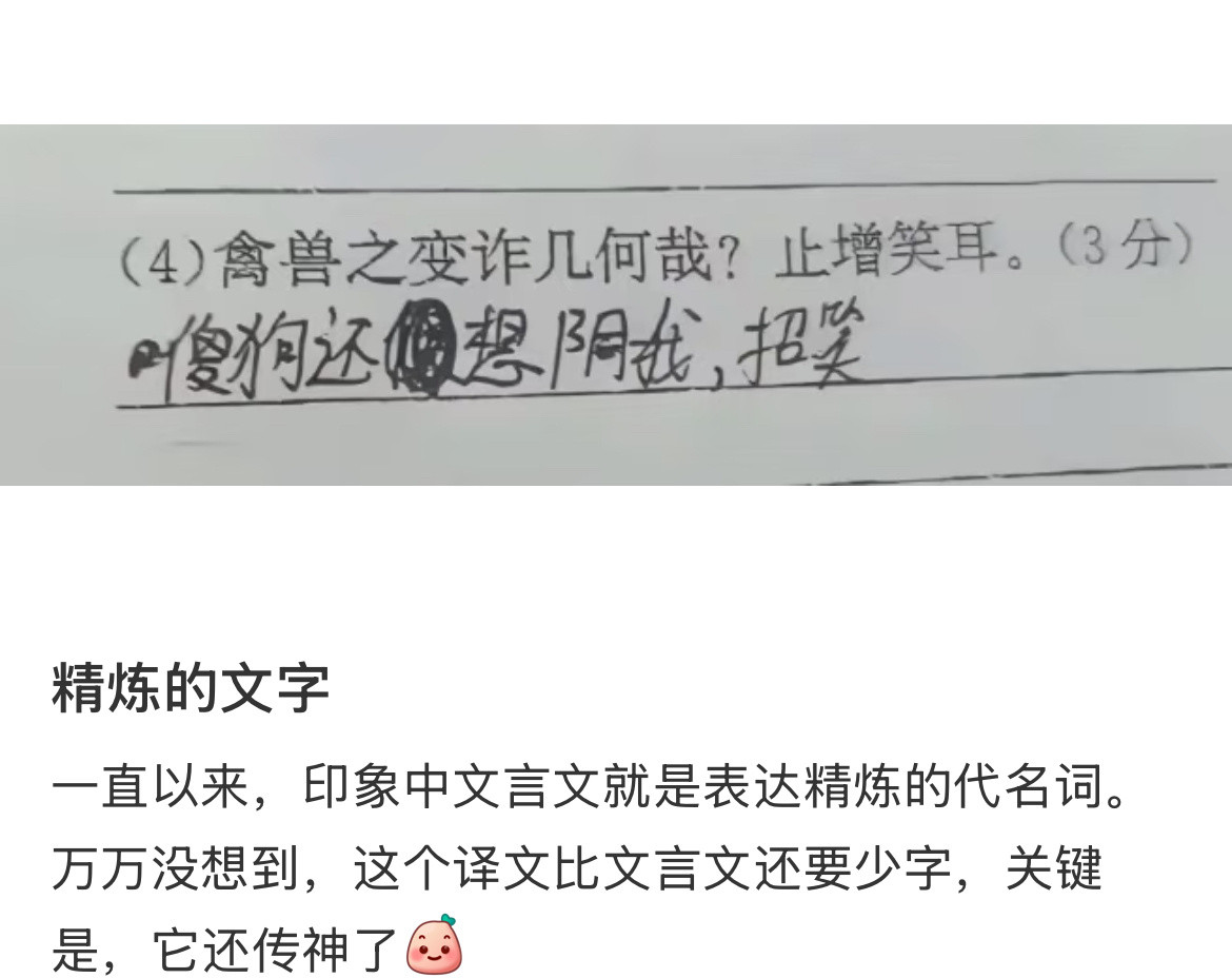 文言文翻译的含金量还在上升。​​​