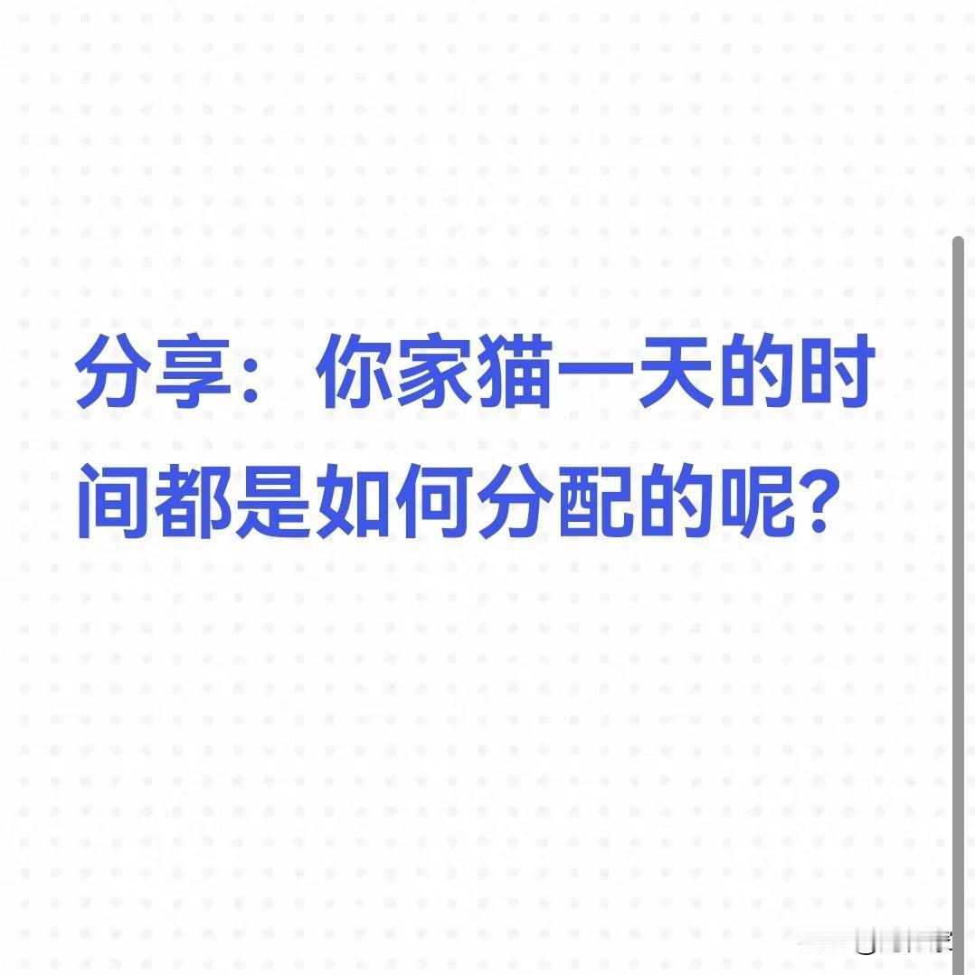 最近我观察了一下我家猫每天的时间安排，其实还是挺有意思的。它每天睡觉的时间大