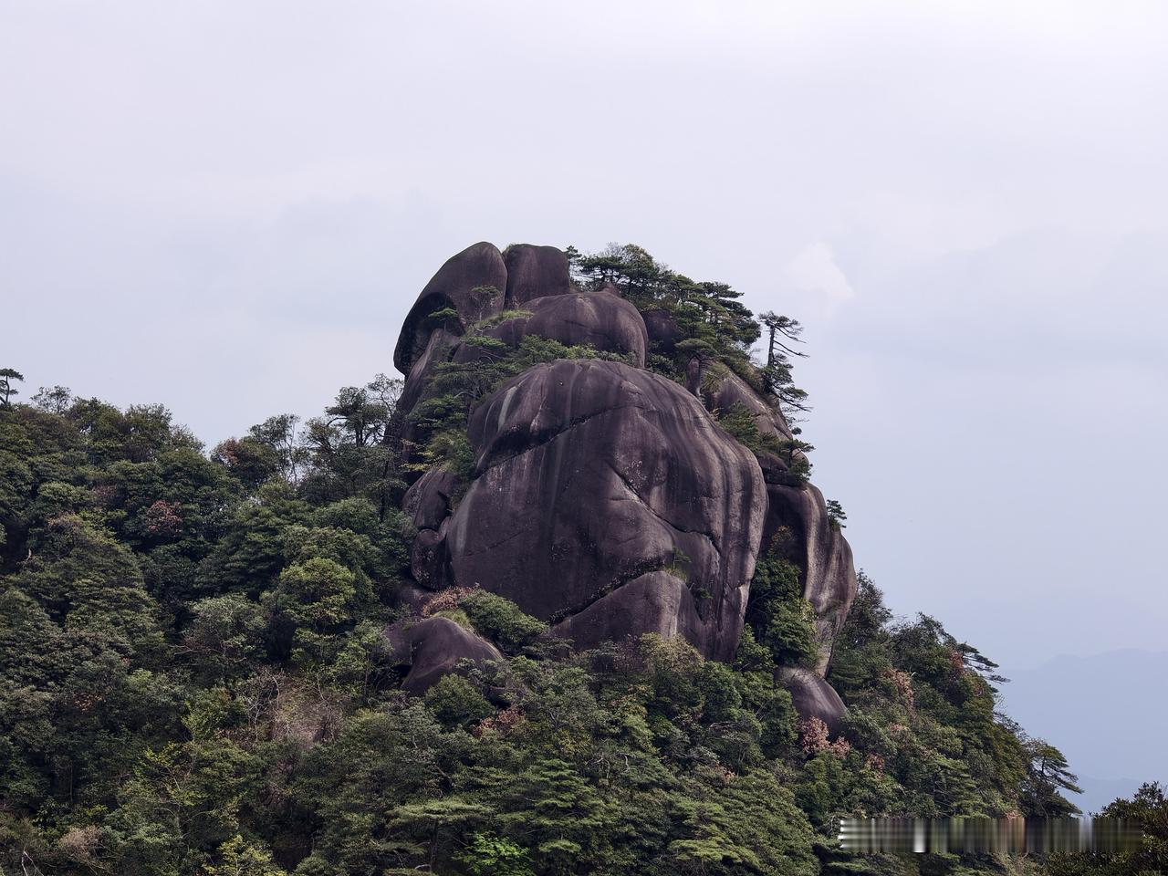 没有去黄山，去了三清山，没想到轻松地走了下来。我们是从港首上行缆车，下来后走