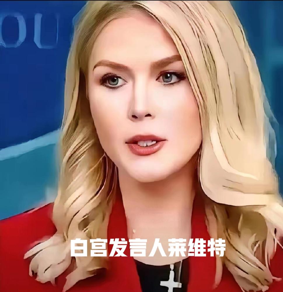 撒谎成性的英国媒体BBC，这次底裤被美国白宫发言人莱维特给扒掉了，英国媒体BBC