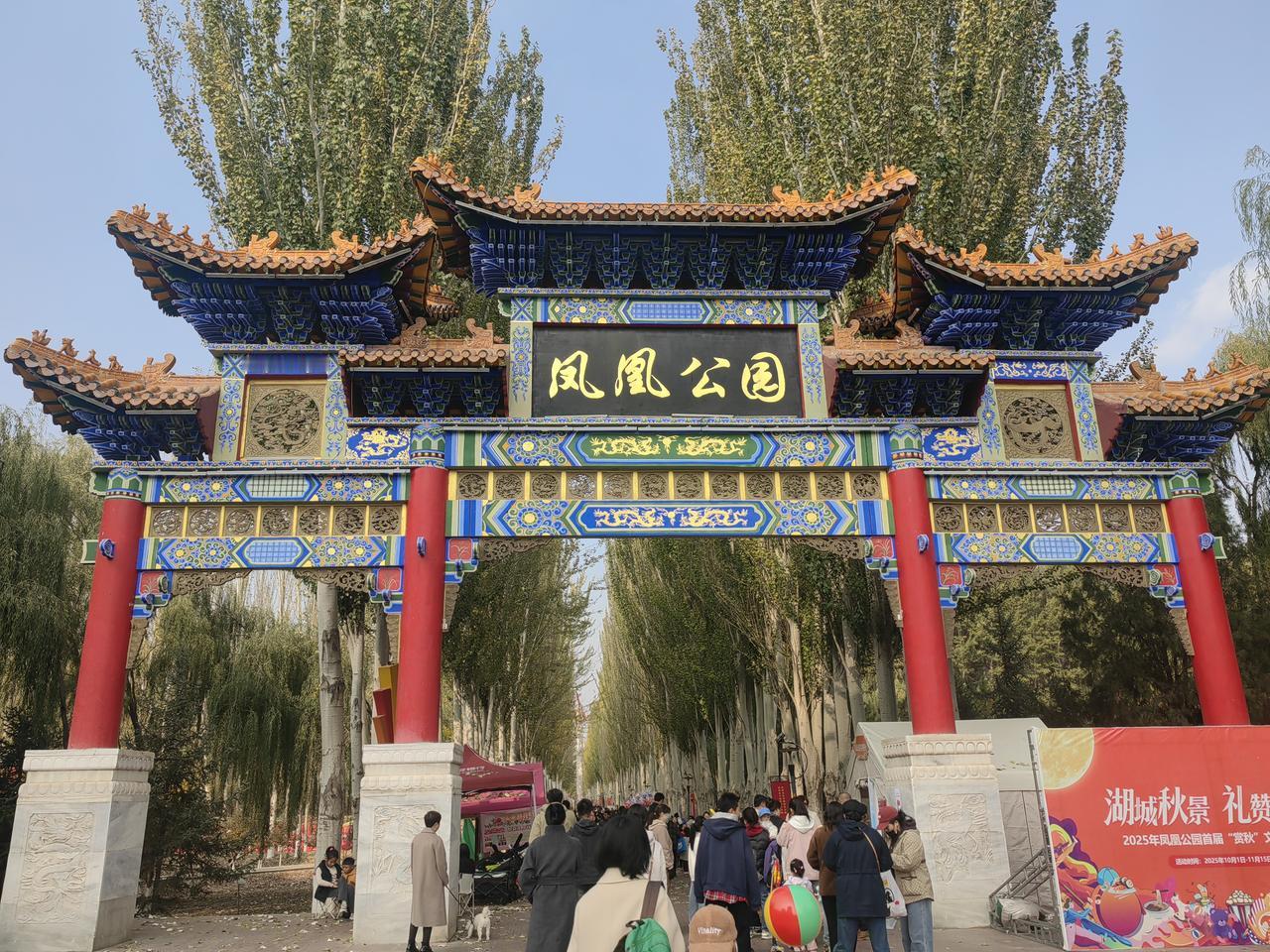 秋日周末，去凤凰公园打卡，真的太值了！走进古色古香的公园大门，迎面两排钻天杨树，