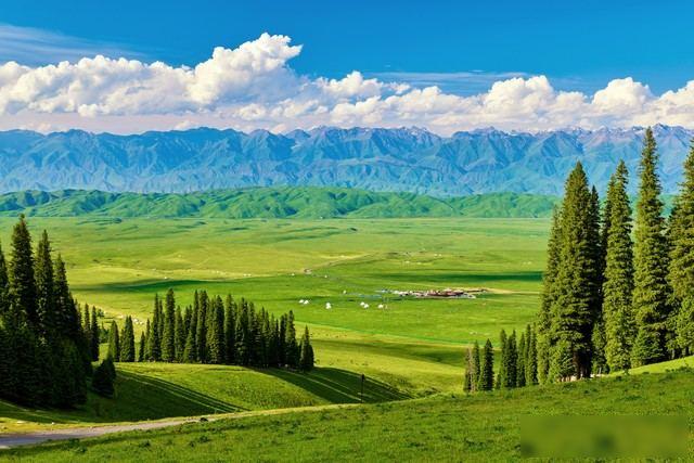 老兵家门口能办社保，企业招人要给补贴，政策终于不画饼了2026年初，退役军人