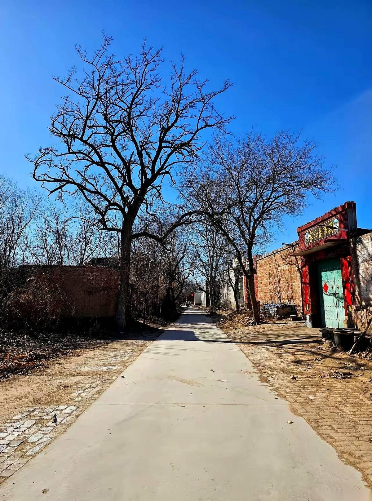 早上人还在，下午就成了一捧灰。就这么快。我们小区一个老太太走了，静悄悄的。没