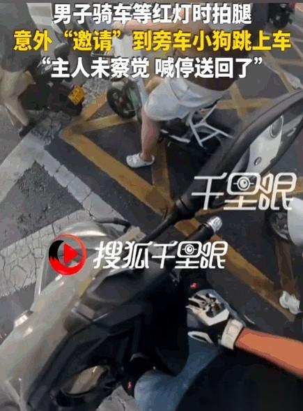 6月23日，郑州。红灯亮起，范先生随手拍了两下自己被晒得发烫的大腿。就这么两下