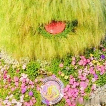 每日一善阳光信用🌞阳光信用不能接受失败，也意味太想去成功了，从心理学上解释