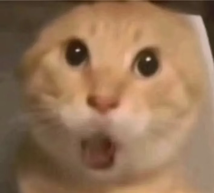 狗人我讨厌坐飞机养狗还好，狗狗胆子没那么小，养猫小时候不进行社会化训练，长大后