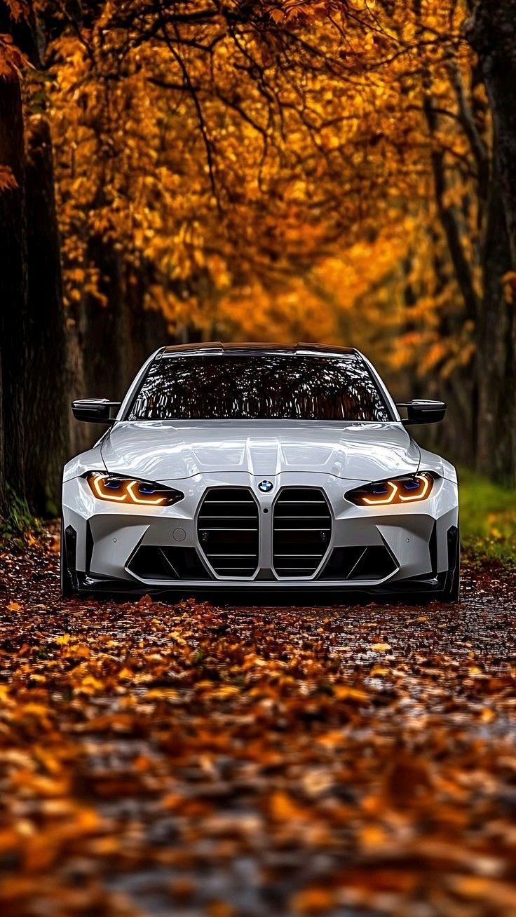 早！Bimmer手机壁纸bmwsky