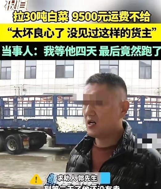 脸都不要了河南一男子从内蒙订了30吨白菜并承诺到时给货运司机9500元运费