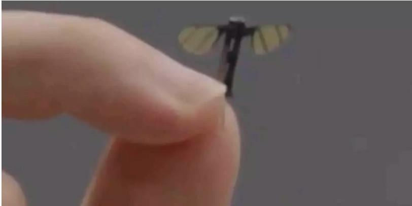 媒体关注